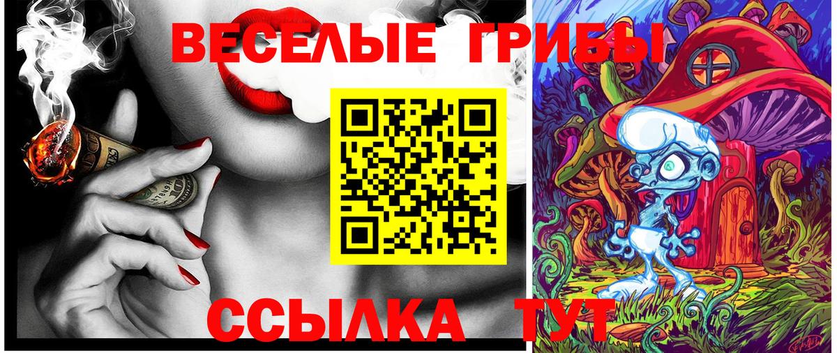 Псилоцибиновые грибы Cubensis  Вход с VPN  Химки 